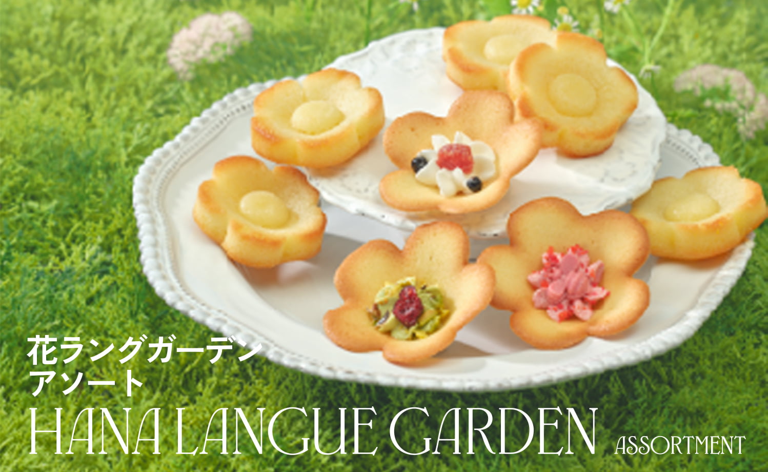 花ラングガーデンアソート